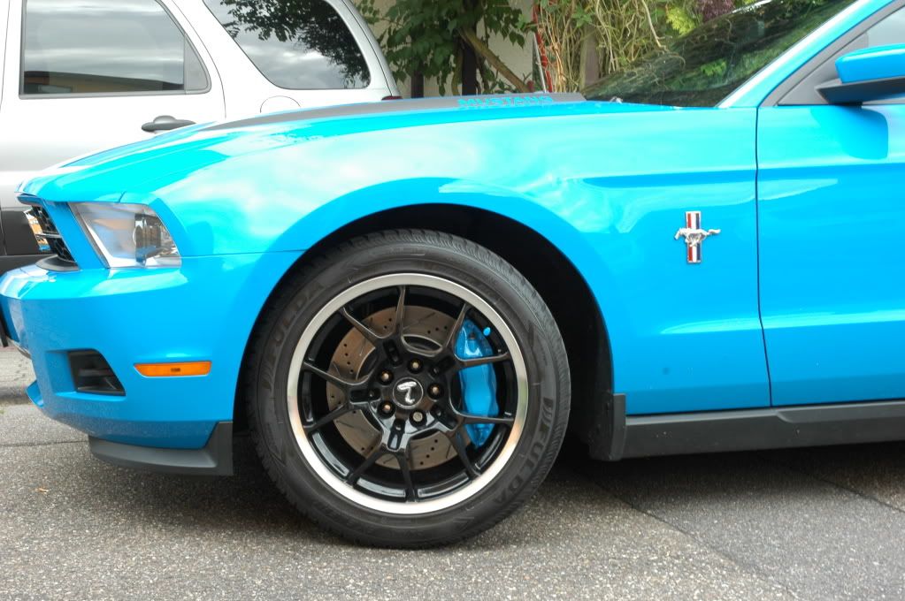 Brakes in blue........Grabber Blue Brembo calipers The Mustang Source